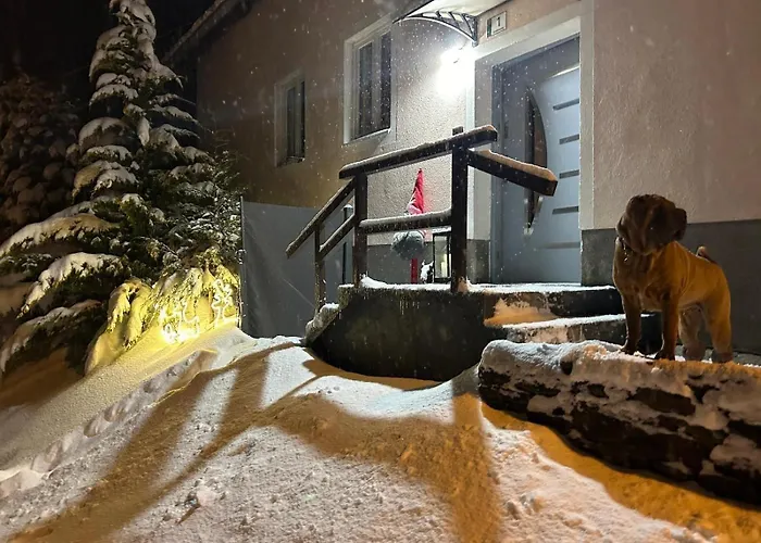 Haus Vranjes Apartmán Rosenau am Hengstpass